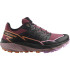 Chaussures Salomon Femme Thundercross noir