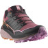 Chaussures Salomon Femme Thundercross noir
