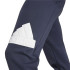 Pantalons adidas Homme Futures icônes Bos Blue