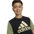 T-shirt adidas Enfant Essentials Big Logo Colorblock Cotton Noir