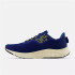 ChaussuresNew Balance Fresh Foam Arishi v4 Bleu