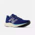 ChaussuresNew Balance Fresh Foam Arishi v4 Bleu