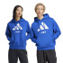 Sweat adidas Paris Hoodie Blue
