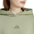 Sweat adidas Femme All Szn Fleece Loose Green