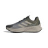 Chaussures Trail adidas Homme by Terrex Soulstride Flow Gtx Grey