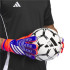 Gants de PorteroFootball adidas Predator par Goalkeeper Training Blue