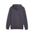 Sweat Décontracté Puma Ess Big Logo Homme