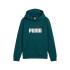 Sweat Décontracté Puma Essentials + 2 Col Big Logo Fl Enfant