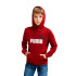 Sweat Décontracté Puma Essentials + 2 Col Big Logo Fl Enfant