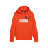 Sweat Décontracté Puma Essentials + 2 Col Big Logo Fl Enfant