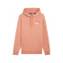 Sweat Décontracté Puma Essentials + 2 Col Small Logo Fl Homme