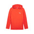 Sweat Décontracté Puma Evostripe Dk Homme