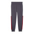Pantalon Décontracté Puma Pantalon de survêtement Power Colorblock Fl Cl Homme