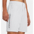 Pantalon Fitness Under Armour Homme from Short à motif tissé Gris
