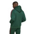 Sweat adidas Pack Homme Sweat à capuche Tiro Nations Vert