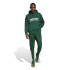 Sweat adidas Pack Homme Sweat à capuche Tiro Nations Vert
