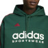 Sweat adidas Pack Homme Sweat à capuche Tiro Nations Vert