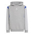 Sweat adidas Enfant Colorblock Gris