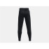 Pantalons Under Armour Polaire Noir Homme