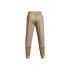 Pantalons Under Armour Polaire Beige Homme