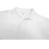 Polo Sportswear Champion Manches courtes