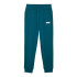 Pantalon Enfant Puma Essentials+ 2 Col Logo Fl Cl Grey