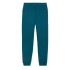 Pantalon Enfant Puma Essentials+ 2 Col Logo Fl Cl Grey