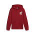 Sweat Puma Essentials+ Mid 90S Hoodie Fl Enfant