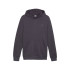 Sweat Puma Essentials Elevated Hoodie Fl Homme