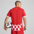 T-shirt Football de Puma Girona Home Jersey Replica Homme