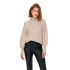 Sweat Only Onlcelina Ls High Birch Femme