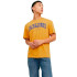 T-shirt Jack and Jones elogo Oneck 2Col 24/25 Honey Gold Enfant