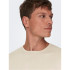Jersey Only & Sons wyler Life Reg 14Crew Silver Lining Homme