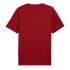 T-shirt Décontracté Puma Graphics Puma Sports Homme