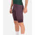 Cyclisme Hemon Hemon Passo Corto Bibtights - Bordeaux Homme