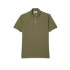 Polo Lacoste Chemise Col Bord-Cotes Green