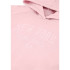 Sweat Champion Homme Sweat à capuche rose