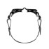 Gafas de natation Zoggs Vision Black Black
