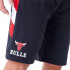Pantalons New Era PANEL NBA OS Bulls de Chicago Homme