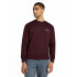 Sweat Homme Lee Wobbly Purple