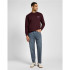 Sweat Homme Lee Wobbly Purple