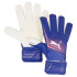 Gants de PorteroFootball de Puma Ultra Match Rc