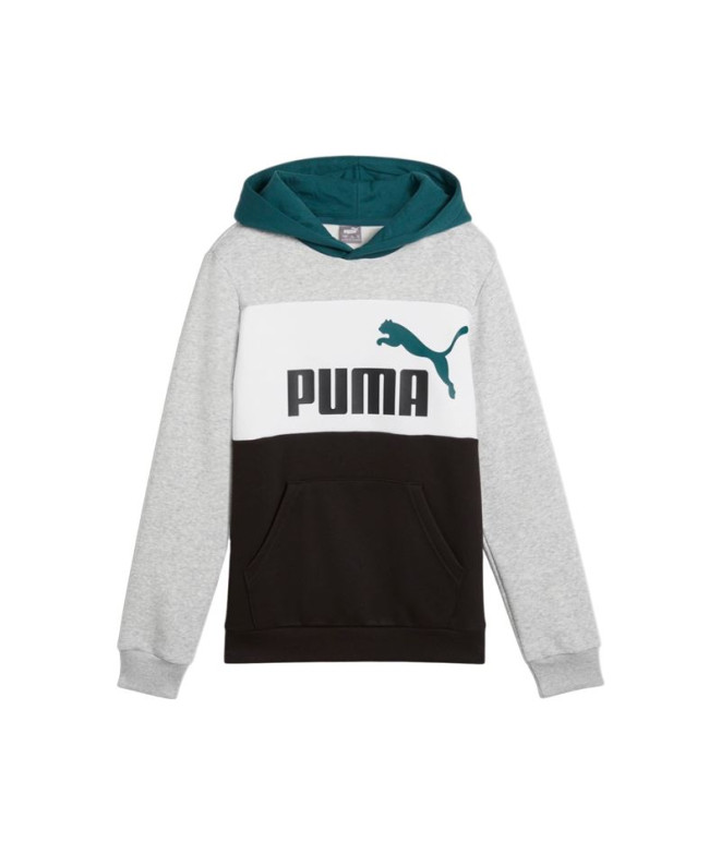 Sweat Décontracté Puma Essentials Block Hoodie...