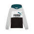 Sweat Décontracté Puma Essentials Block Hoodie Fl Enfant