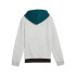 Sweat Décontracté Puma Essentials Block Hoodie Fl Enfant