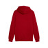 Sweat Décontracté Puma Essentials+ 2 Col Small Logo Fl Homme