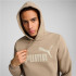 Sweat Décontracté Homme Puma Essentials Big Logo Beige