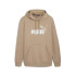 Sweat Décontracté Homme Puma Essentials+ 2 Col Big Logo Fl Beige