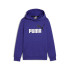 Sweat Décontracté Enfant Puma Essentials+ 2 Col Big Logo Bleu