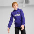 Sweat Décontracté Enfant Puma Essentials+ 2 Col Big Logo Bleu